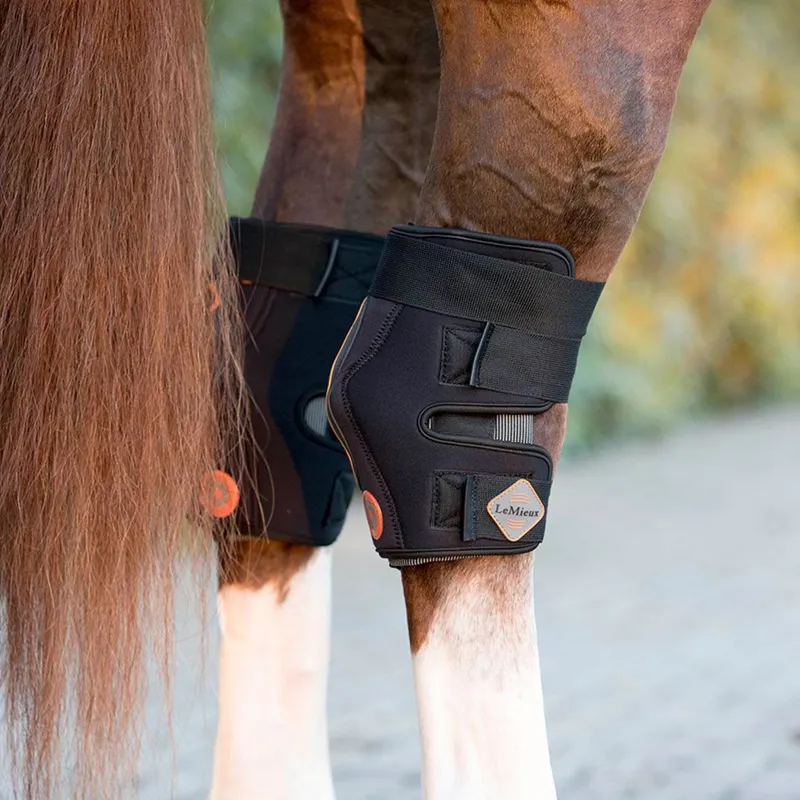 LeMieux Magnotherapy Hock Boot-1